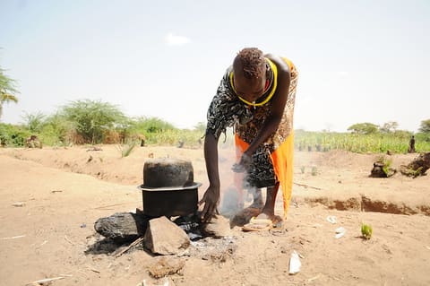 Harvest during drought, Turkana County