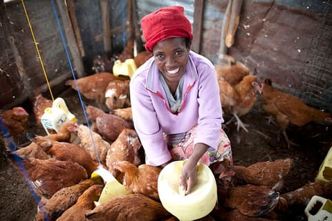 Value Girl Joyce Akinya is proud of her poultry business