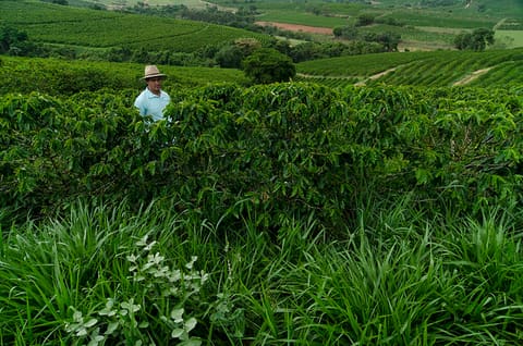 FAIR TRADE COFFE-MG