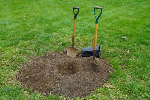 Earth Day 2016