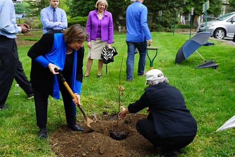 Earth Day 2016
