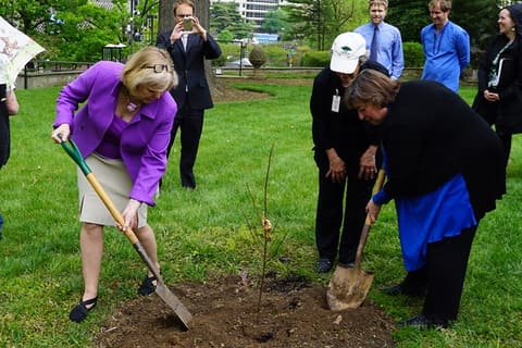 Earth Day 2016