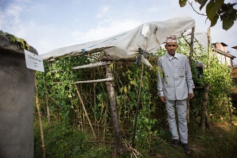 Ram Prasad Timilsina, farmer from Lele