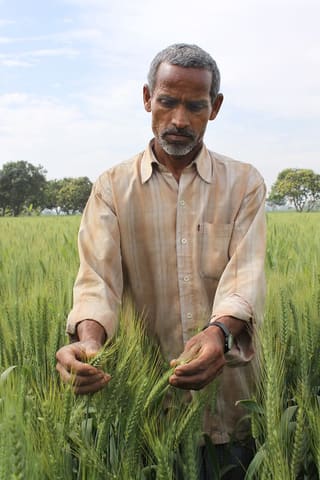 Indian farmer and CSISA partner experiments with CA and boosts crops