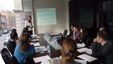 HICD PLUS bidders' conference Roman Tsutskiridze Dea Pagava