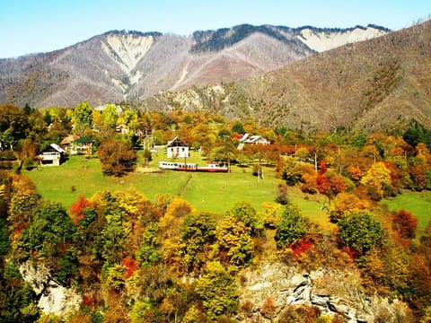 Fall In Georgia. Photos by Nana Pirveli