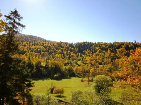 Fall In Georgia. Photos by Nana Pirveli