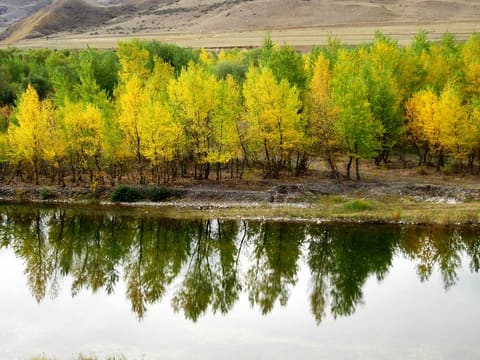 Fall In Georgia. Photos by Nana Pirveli