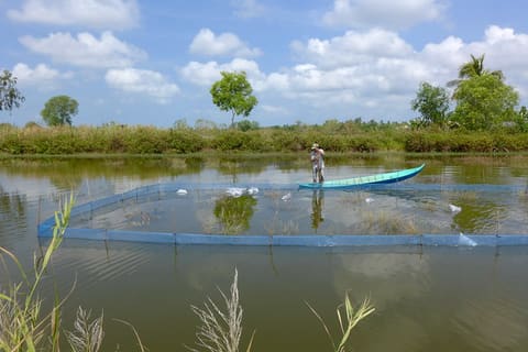 Pilot Adaptation Measures Begin in Thuan Hoa Commune, Vietnam