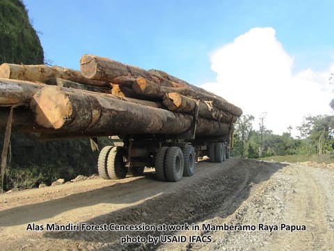 9. USAID IFACS - Konsesi Hutan di Papua