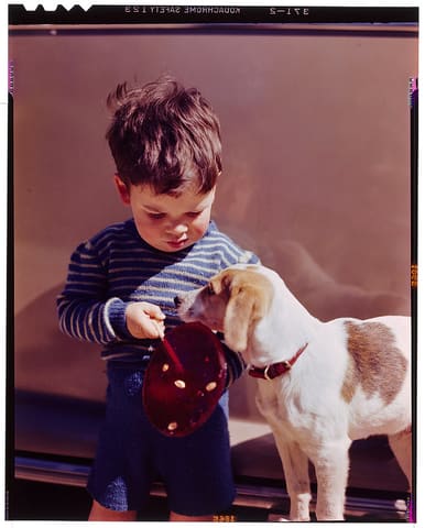 Boy with Dog and Large Lollipop (LOC)