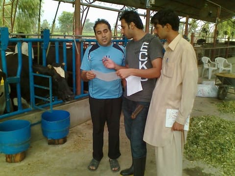 USAID Dairy Project-trained dairy farm managers
