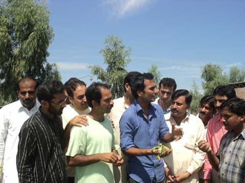 During silage making