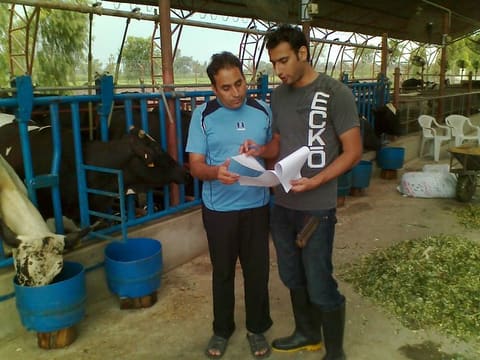 Dairy Project-trained dairy farm managers