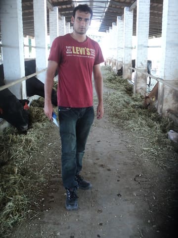 Dairy Farm Managers