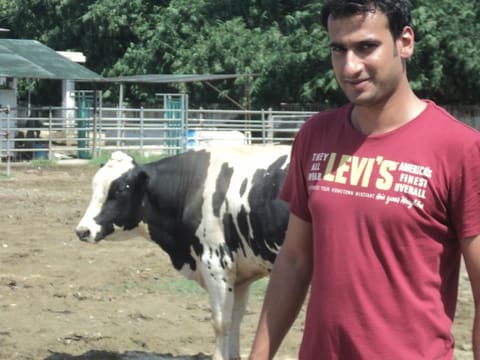 Dairy Farm Manager -Dairy Project