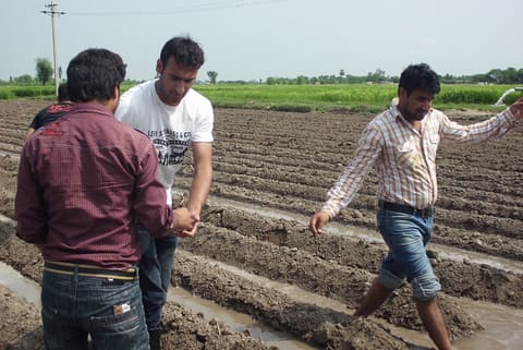 USAID Dairy Project-trained dairy farm managers