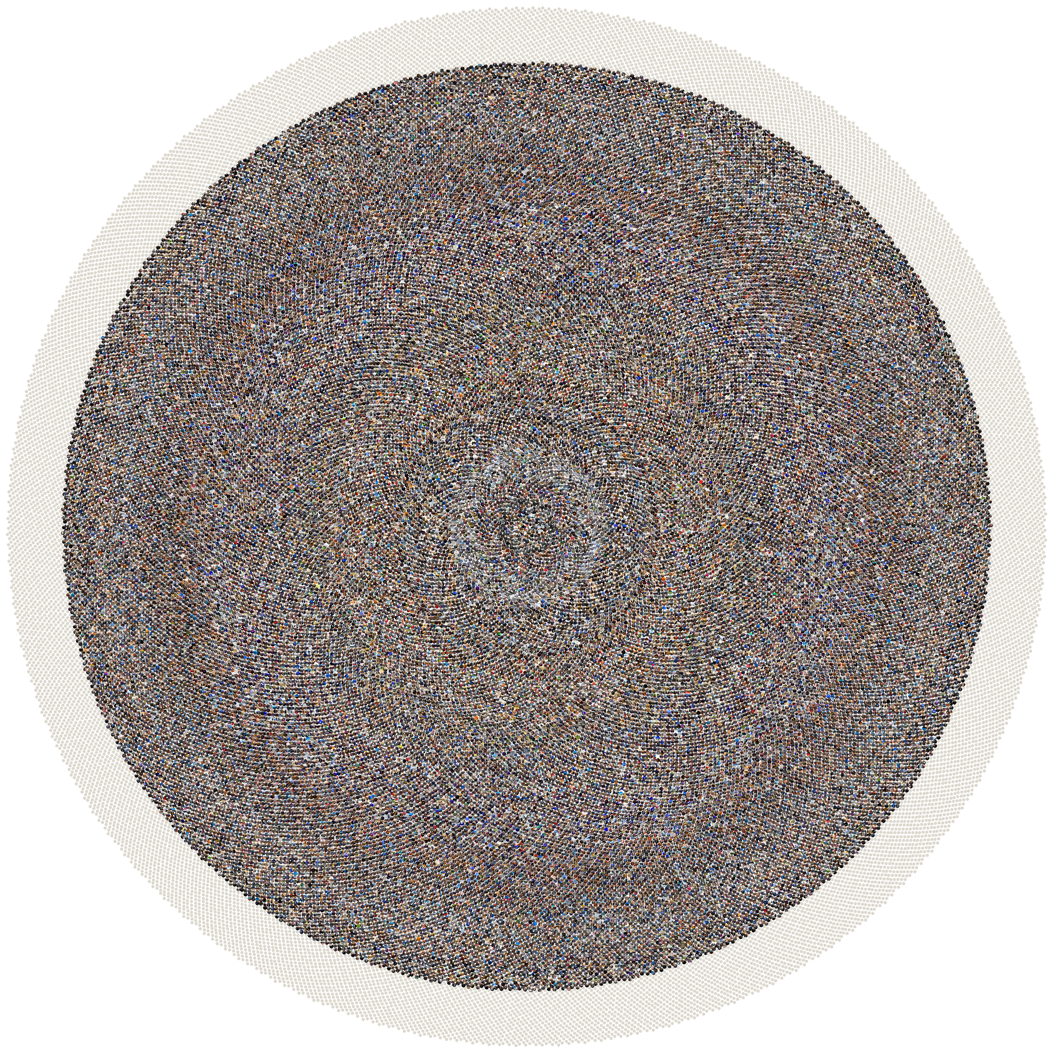 Sunflower mosaic of every photo in this Data Lifeboat