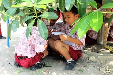 Mengobservasi daun yang ada di lingkungan sekolah dalam pembelajaran tematik "Lingkungan" di SDN Tebing Tinggi Sumatra Utara, (15 Maret 2013)
